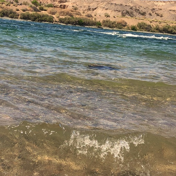 Meet your Posher, Lorena - Picture 1 of 1